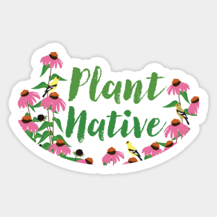 Plant Native Echinacea Sticker